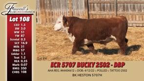 Lot #108 - ECR 5707 BUCKY 2502