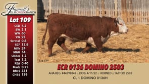 Lot #109 - ECR 0136 DOMINO 2503