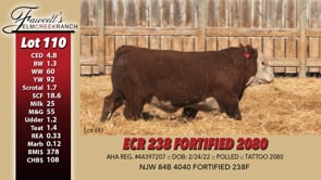 Lot #110 - ECRR 238 FORTIFIED 2080