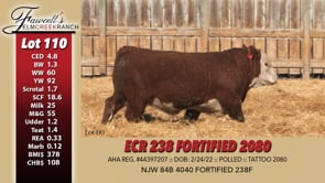 Lot #110 - ECRR 238 FORTIFIED 2080