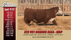 Lot #111 - ECR 901 DOMINO 2656