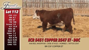 Lot #112 - ECR 5451 COPPER 2547 ET