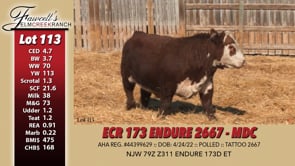 Lot #113 - ECR 173 ENDURE 2667