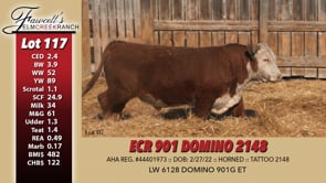 Lot #117 - ECR 901 DOMINO 2148