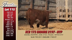 Lot #115 - ECR 173 ENDURE 2197