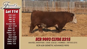 Lot #114 - ECR 9093 CLYDE 2315
