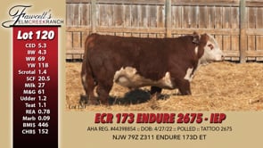 Lot #120 - ECR 173 ENDURE 2675
