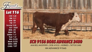 Lot #116 - ECR 9156 BOBS ADVANCE 2480