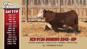Lot #119 - ECR 0136 DOMINO 2542