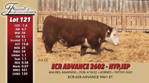 Lot #121 - ECR ADVANCE 2602