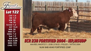 Lot #122 - ECR 238 FORTIFIED 2004