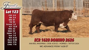 Lot #123 - ECR 1628 DOMINO 2626