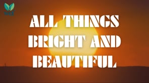 All Things Bright And Beautiful - Little Seeds of Faith