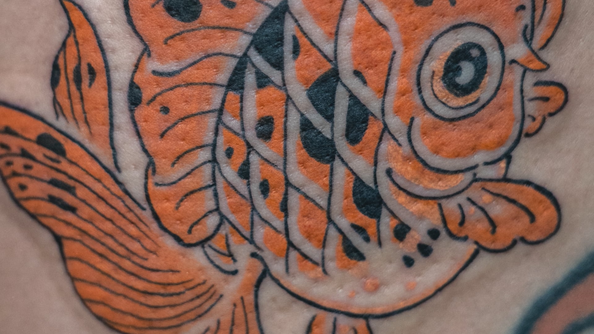 Kang Tattoo | Sizzle Reel