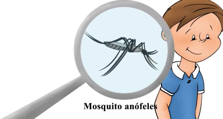 6p Mes 06 V Cn Lec06 Dit Malaria