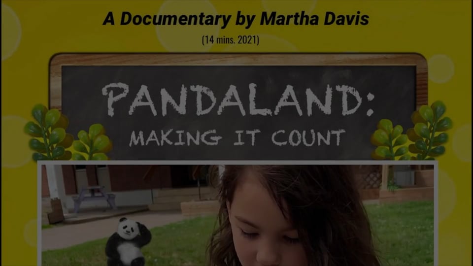 PANDALAND: Making IT Count