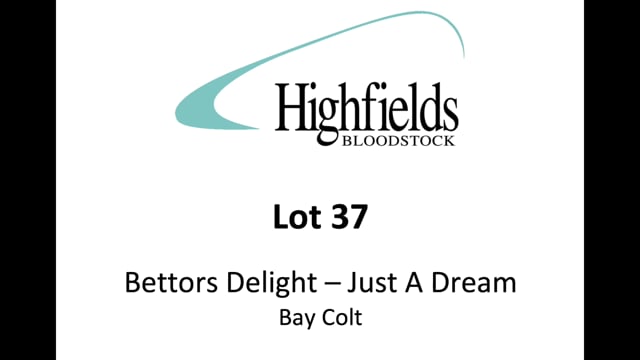 Lot 37