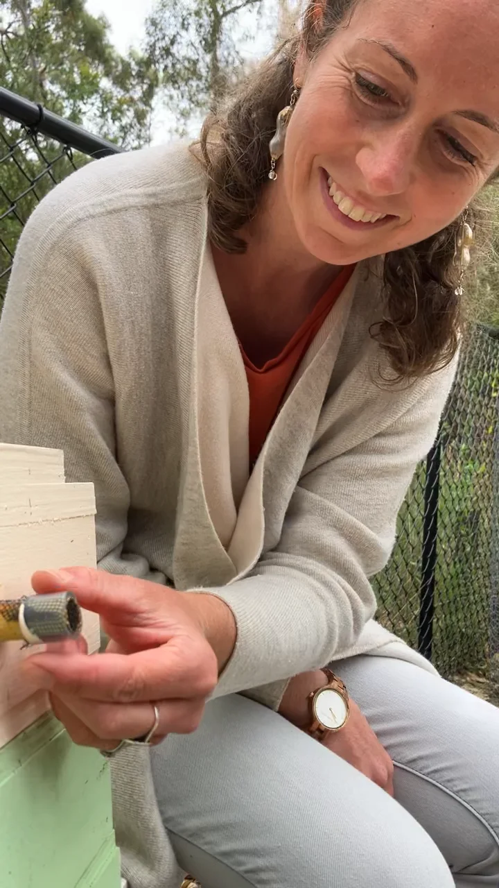 Releasing the bees on Vimeo