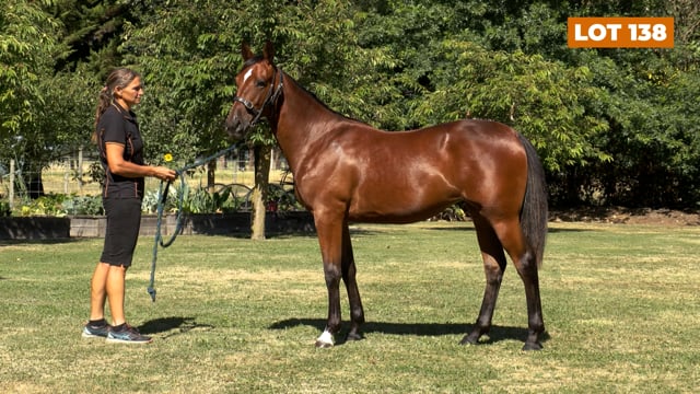 Lot 138