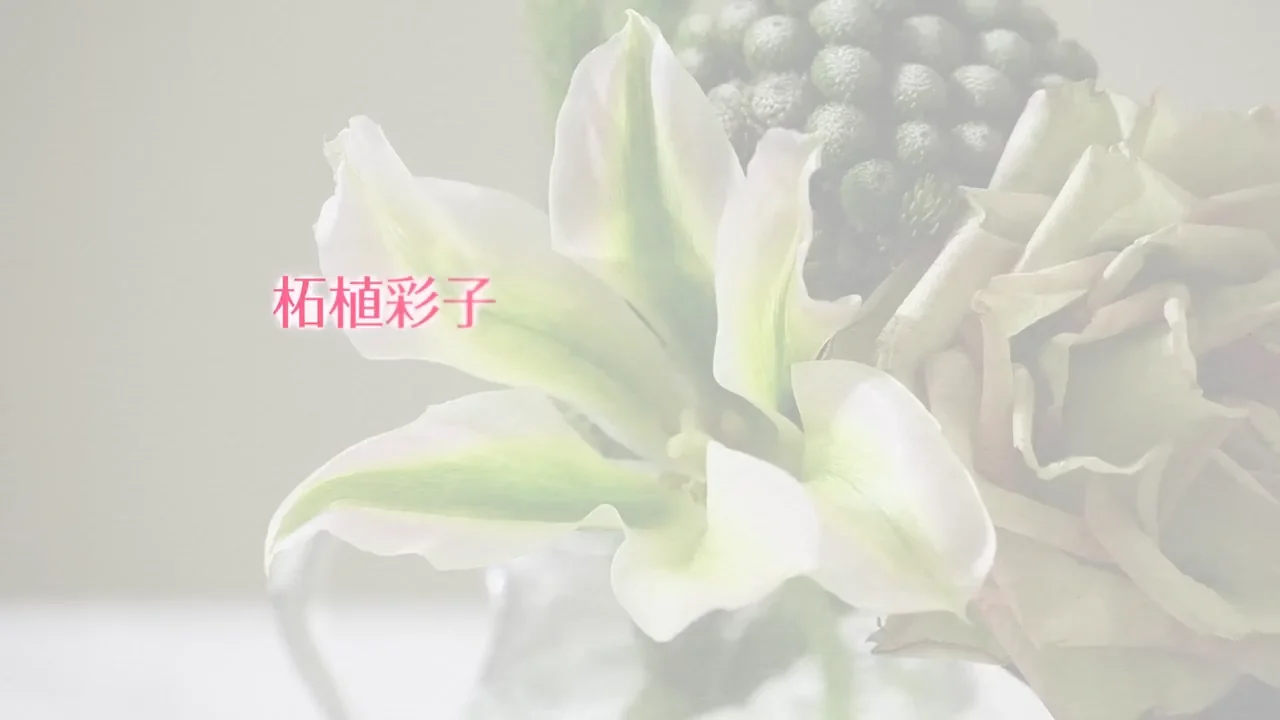 篠原奈穂子 Shinohara Nahoko | 白いつぼみの芍薬をいただいた
