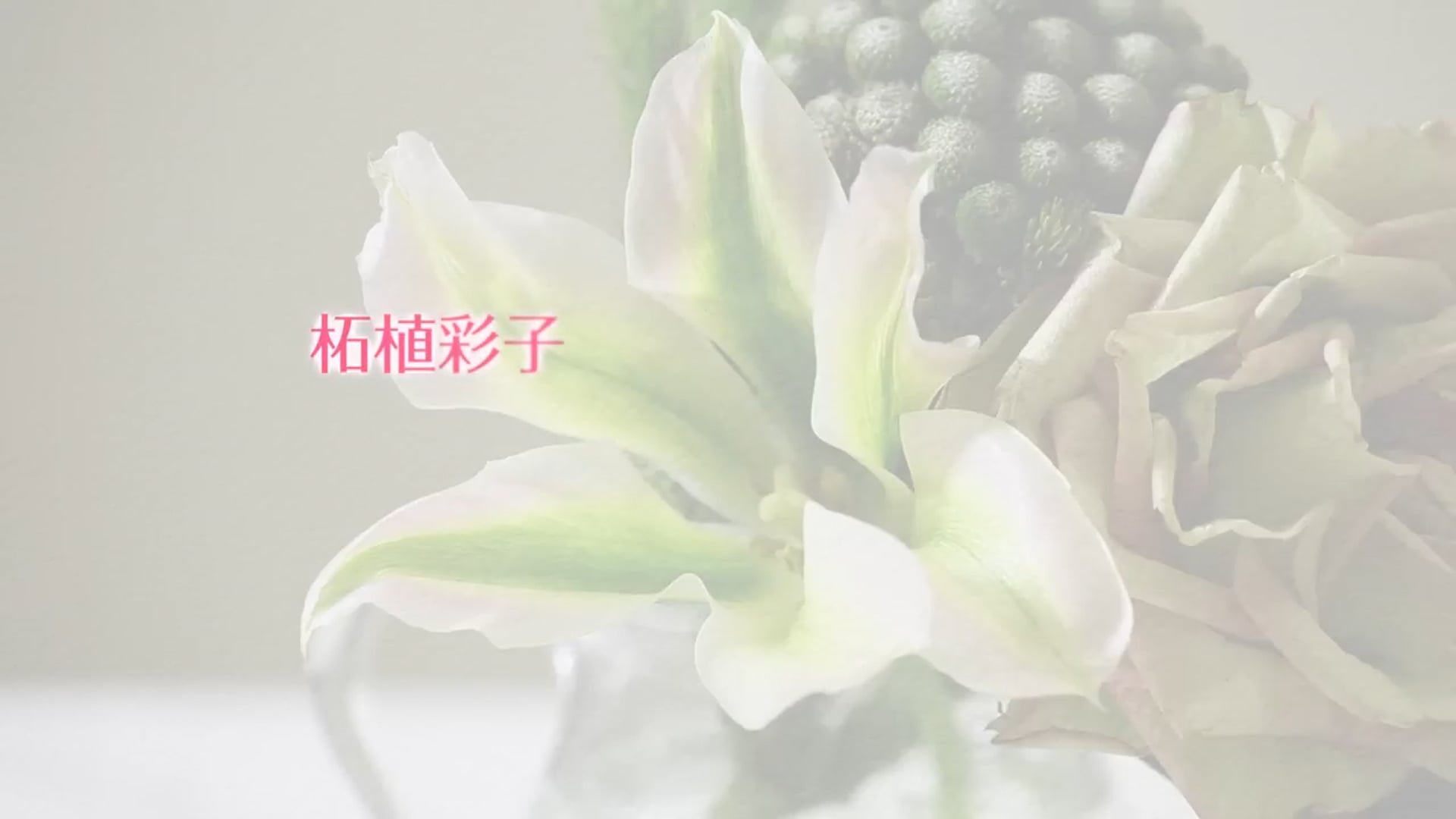 予告編動画のサムネイル画像