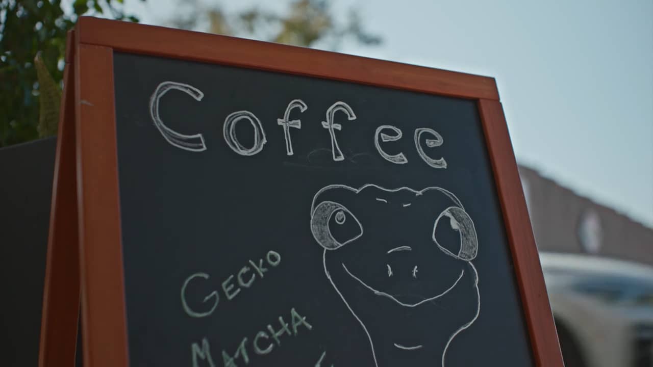 Full length Geico film on Vimeo