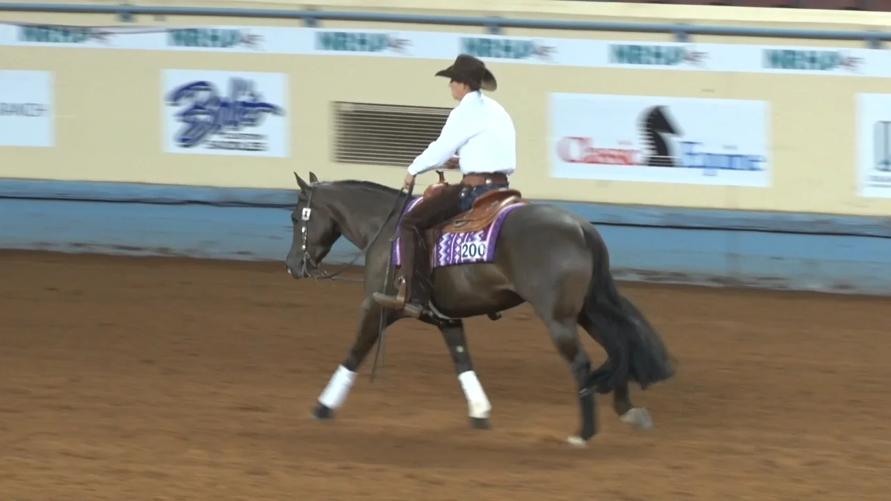 13.B200_RRB-half trot out on Vimeo
