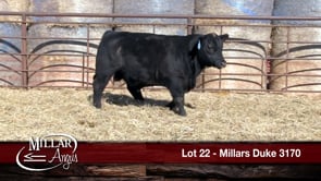 Lot #22 - MILLARS DUKE 3170