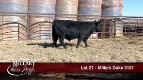 Lot #27 - MILLARS DUKE 3121