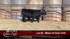Lot #28 - MILLARS 44 DUKE 3123