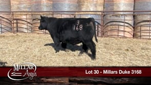 Lot #30 - MILLARS DUKE 3168