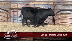 Lot #25 - MILLARS DUKE 3016
