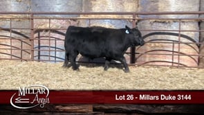 Lot #26 - MILLARS DUKE 3144