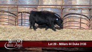 Lot #29 - MILLARS 44 DUKE 3135
