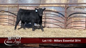 Lot #110 - MILLARS ESSENTIAL 3014