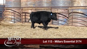 Lot #113 - MILLARS ESSENTIAL 3174