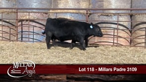 Lot #118 - MILLARS PADRE 3109
