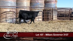 Lot #107 - MILLARS GOVERNOR 3137