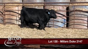 Lot #130 - MILLARS DUKE 2147