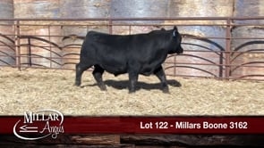 Lot #122 - MILLARS BOONE 3162