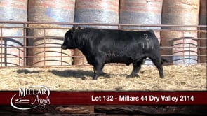 Lot #132 - MILLARS 44 DRY VALLEY 2114