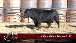Lot #134 - MILLARS RENOWN 2115