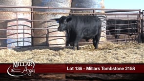 Lot #136 - MILLARS TOMBSTONE 2158