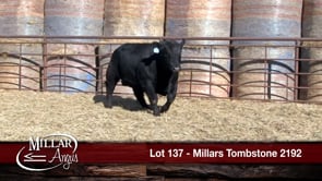Lot #137 - MILLARS TOMBSTONE 2192