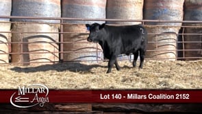 Lot #140 - MILLARS COALITION 2152