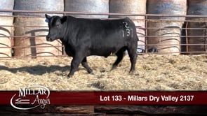 Lot #133 - MILLARS DRY VALLEY 2137