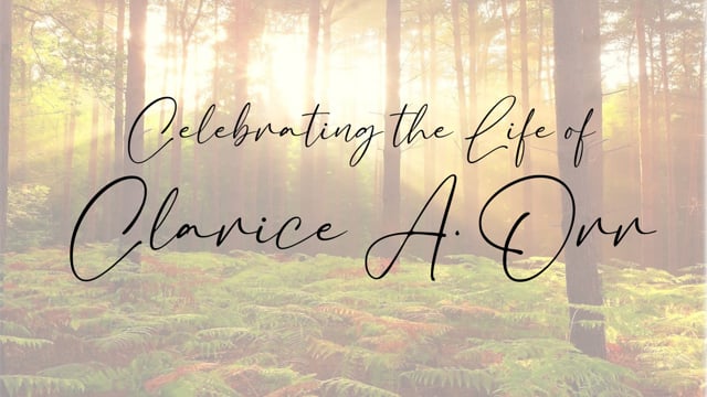 Video Placeholder image