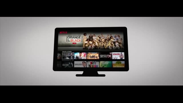 Netflix Netflix Burglar
