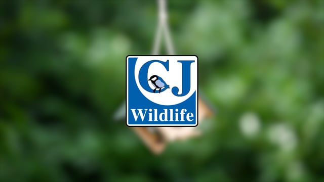 351900119-Cork Hanging Peanut Butter Feeder-CJ Wildlife version-SW-Sem-6860