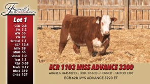 Lot #1 - ECR 8923 MISS ADVANCE 3300